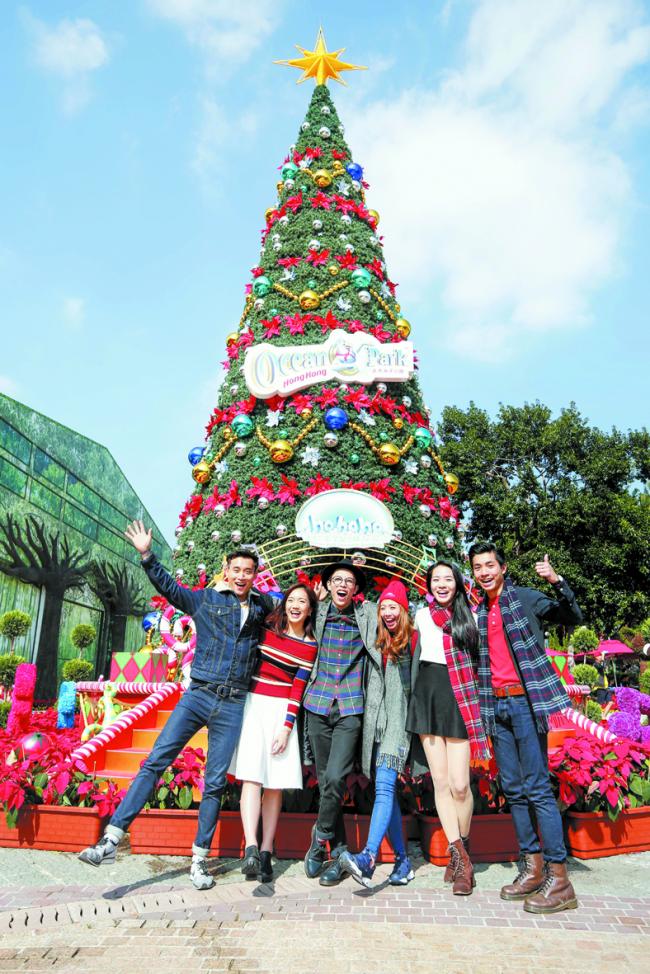 游客可到海洋公园的圣诞地标——高达40呎的巨型圣诞树前合照。