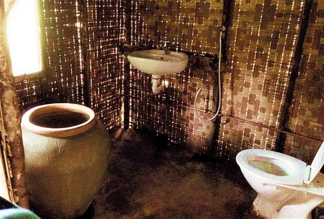 厕所是和平树屋里最现代化的设备，洗脸盘、马桶，还用以煤气加热的热水器。