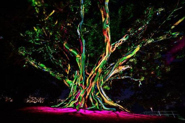 新南威尔斯专业技术学院的学生将悉尼皇家植物园打造成电子森林，犹如精灵国度般可以同时体验体验声、光、动和力。