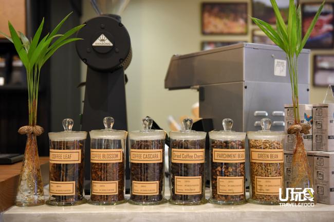 My Liberica Coffee希望能将咖啡树运用到极致，目前也正在研制咖啡叶茶及咖啡花茶两款系列产品。