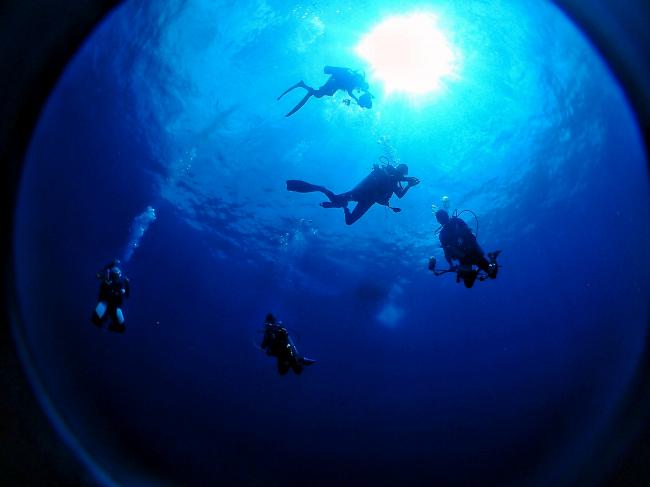 弗尔农潜水点（Vernon Bank）位于纳闽以北40海哩的地方，国际潜水达人李岳耀与其团队最近进入探索，揭开其美丽的面纱。