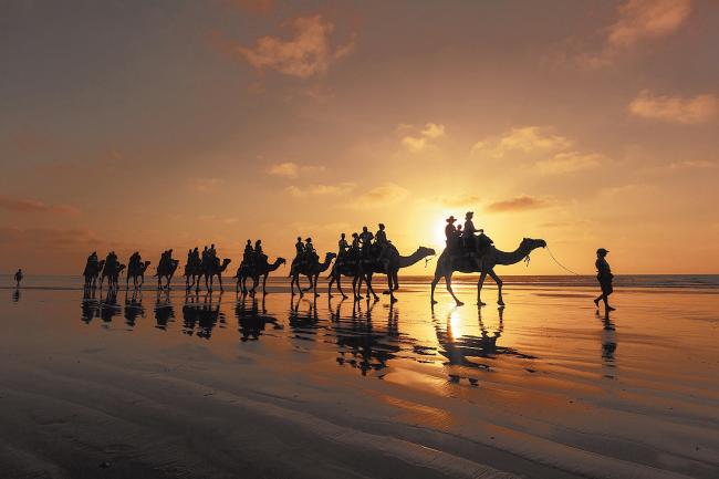 布鲁姆最著名的活动就是在凯布尔海滩的日落下骑乘骆驼。