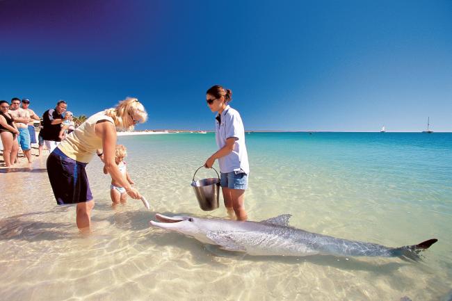 埃克斯茅斯位于西澳北部，这里的海岸线漫长而美丽，旅客可在海滩上漫步，或者亲近丰富的海洋物种。