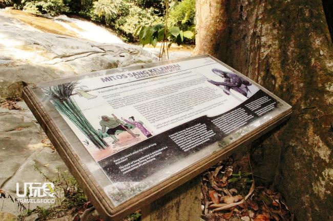 推动发展不忘文化保留， 森林局在接管金江瀑布后，也在瀑布旁立碑记载原住民流传着的巨脚野人神话。