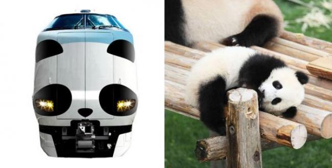 熊猫宝宝「结浜」人气最高，引领主题火车一起前往冒险世界动物园。