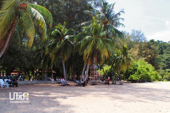 高大的椰子树与细白的沙滩是直落峇迪的一大卖点，绝对是吸引游客的梦幻组合。