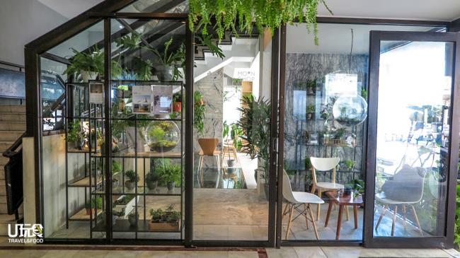 「单」和月森植物屋合作打造出来的玻璃森林咖啡屋。