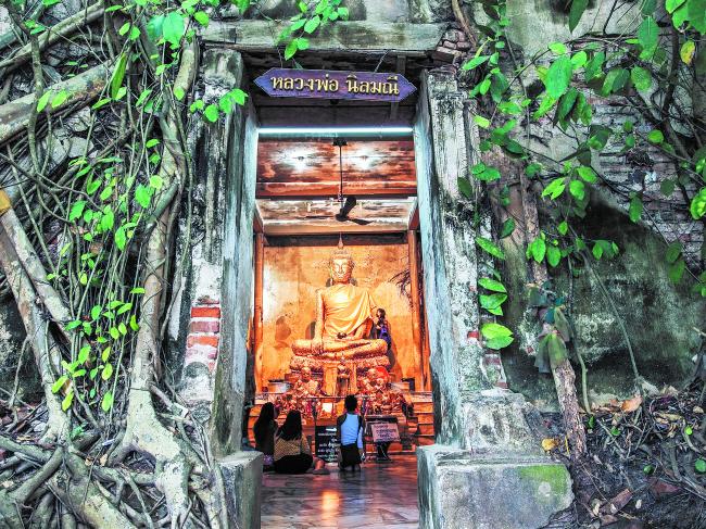 树中庙原本只是一座小庙宇，经过多年，两旁的树像是受到了庙宇与佛陀的呼唤一样，纷纷向庙宇靠拢，也就形成这幅特殊的景象。