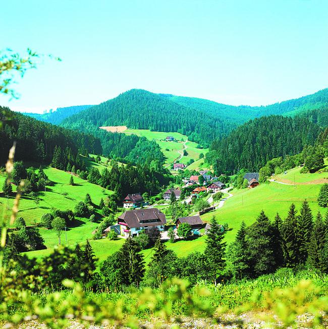 黑森林（Schwarzwald）是德国最大森林山脉，涵盖的地方从巴登巴登（Baden-Baden）至菲尔德山（Feldberg），中间比较有名的有特里堡（Triberg）和蒂蒂湖（Titisee），是一般旅客会去的景点。