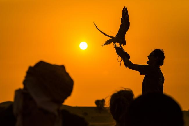 驯鹰在中东是拥有两个多世纪的独特文化传承，冲沙的时间一般安排在下午4时之后，观赏猎鹰表演时，正直黄昏时分，景色慑人。
