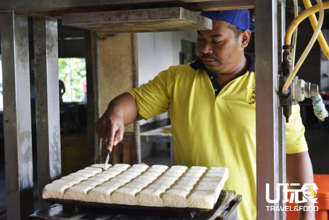 游客可以参观豆腐制作的过程，只见员工将豆浆倒入模具内，豆腐水沥净后就可切出一块块的豆腐了。