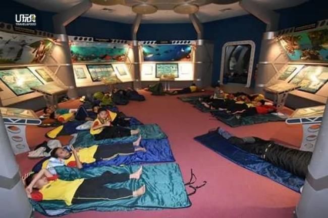 甲博物馆机构准备枕头及睡袋，让参与者体验夜宿博物馆的经验。