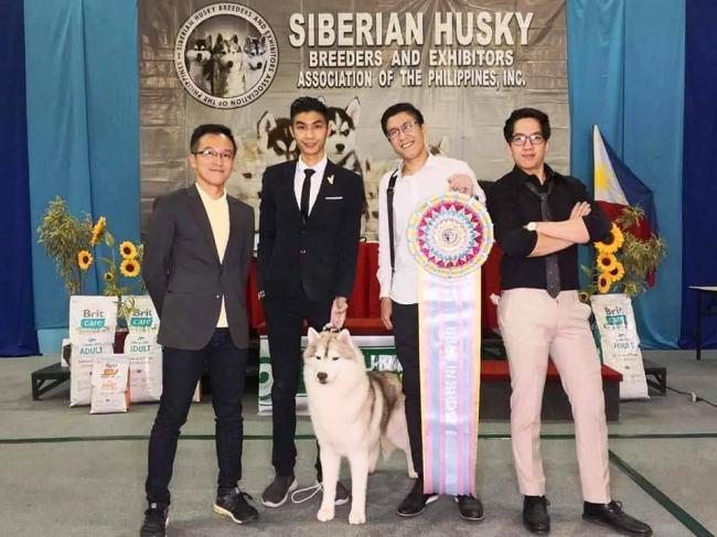 周敬程（左）常与团队到国外参加由犬业协会举办的比赛，其赛级犬获得不少冠军头衔。