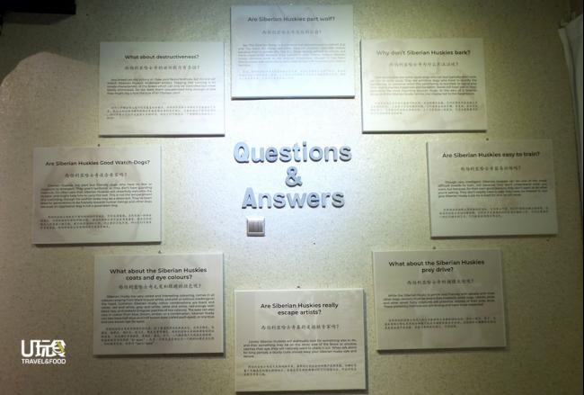 哈士奇的历史你知多少？展览馆内的问答角落，备有中英语解说。