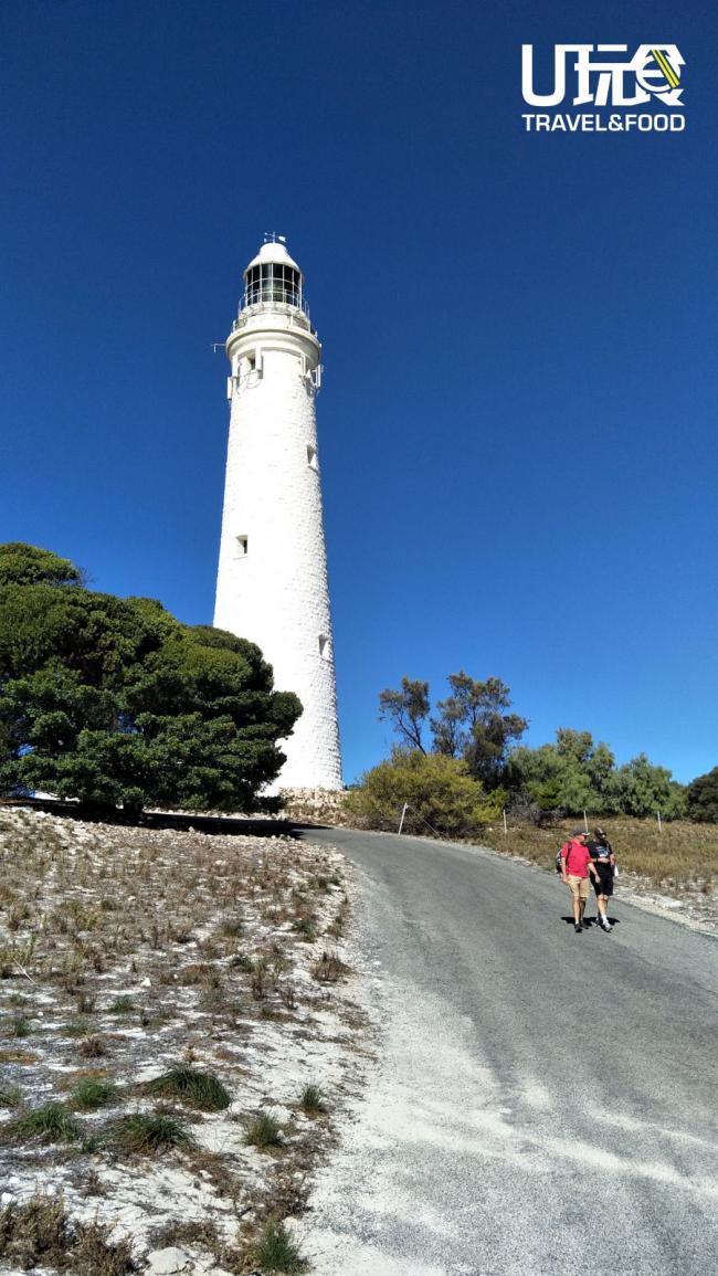灯塔始建于1849年，是一座石质灯塔，高度约38.7公尺，也是澳大利亚第四高的灯塔，位于岛中部最高处的小山坡上，从罗特尼斯岛游客中心骑脚车约20分钟就能到达，泊好脚车后，可步行上去欣赏整个罗特尼斯岛的风景，也可以让导游带你登上灯塔顶部，远眺珀斯的城市风光。