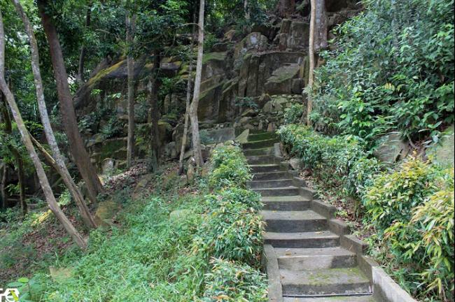 海口灯塔小栈的斜坡处设有林间步道，住客可以在此悠闲漫步，享受森林浴。