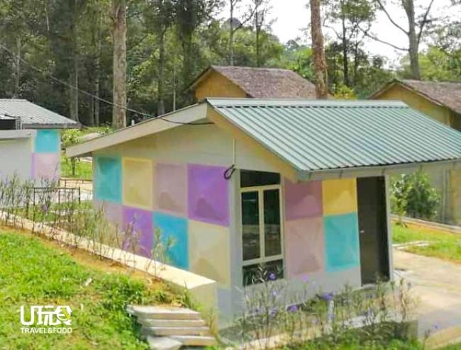 竹林苑建有现代化的林中小屋，以满足不同房客的需求。