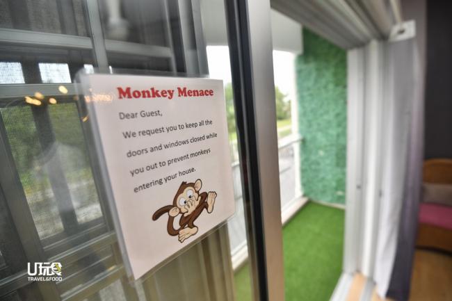 「请注意！勿让猴子进入屋内。」民宿周遭可见不少猴子踪迹，业者特别张贴通告，促请房客一旦外出，记得锁紧门窗，勿让猴子进来。