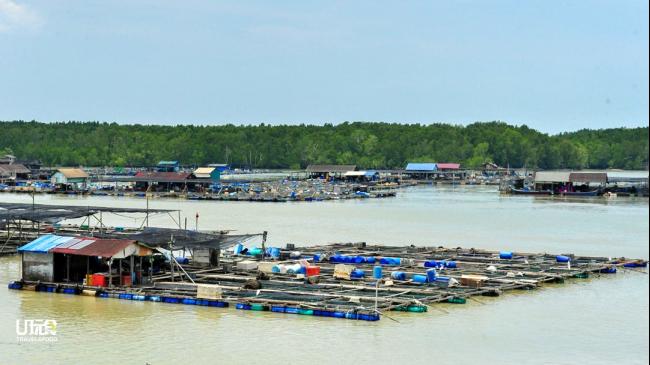 旅客可在附近参观海上养殖场，了解鱼类生态。