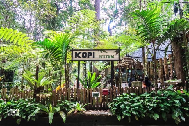 这家隐藏在森林的咖啡厅，座落在升旗山上，让人可以在野外享受咖啡之余，还可体验大自然之美。