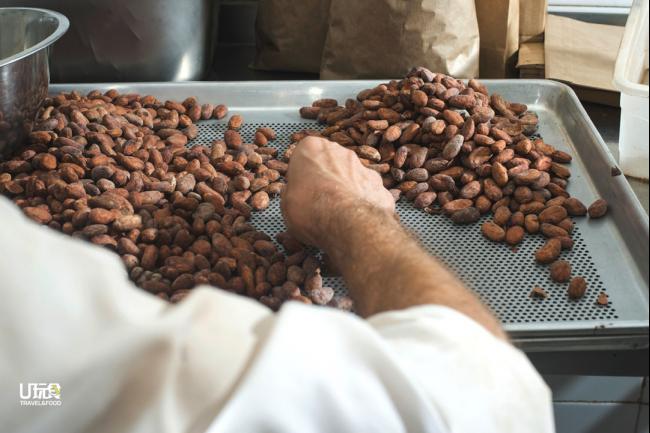 一颗可可果内含有20至30颗可可豆，这个数量能制成一块70至80克的70%巧克力。一棵树大概仅能生产到30至40块80克的巧克力。