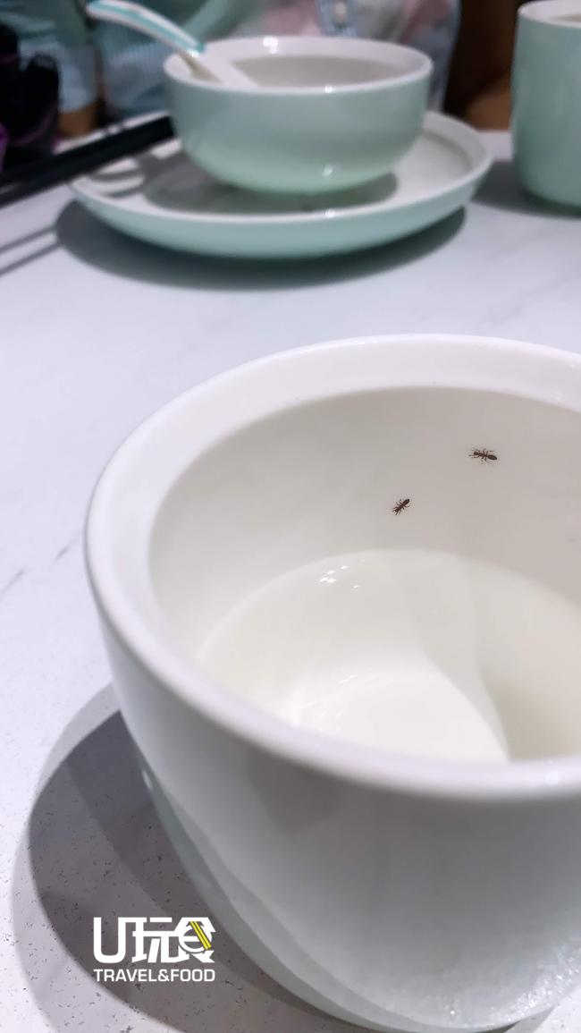 夏记椰子鸡火锅内的餐具上都可以找到「蚂蚁」的踪影，但其实只是店家可爱逗趣的设计，并非真的虫子。