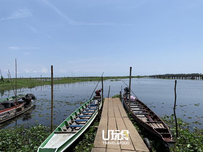 郡干伦（Waterfowl Park）里的小舢板停泊于湖边，游客们可乘之前往莲花湖赏花。