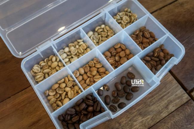 中浅培咖啡豆在烘培过程会发生12个不同阶段的颜色和味道的变化。从浅青色从生豆（右一）到深培（左一）。