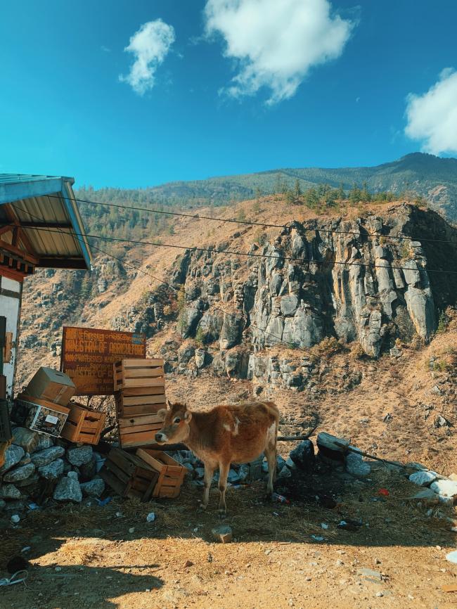 不丹境内风光明媚，简单淳朴，因此拥有着「人间最后净土」、「世上最后的香格里拉」以及「全球最快乐国家」等美誉。