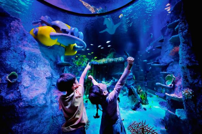占地面积2123平方米的马来西亚海洋生物海洋探索中心（SEA LIFE Malaysia），是乐高乐园崭新室内水族馆，SEA LIFE海洋探索中心在11个生态主题区中，饲养了120个品种逾1万3000只海洋生物，而「居住」在25个水缸里的海洋生物包括魔鬼鱼，斑马鲨，黑鳍礁鲨，海马，水母等等。