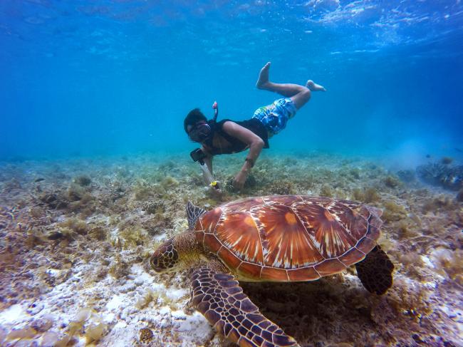 到浮罗交怡芭椰岛清澈的海上进行浮潜活动， 一窥海洋底下的生态环境，还可与鱼群共游！