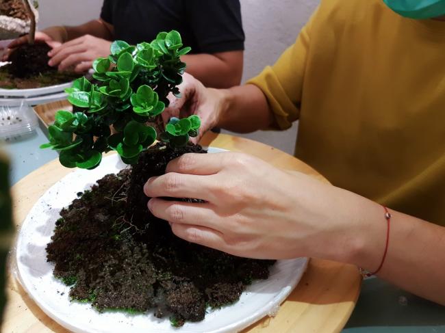 《森夜莳堂》工作坊将让学员体验亲自挑选喜欢的植物，调配泥土，将苔藓和土壤用彩线包裹成圆形。过程中，陈建宏也会为学员讲解苔玉历史、每个人所选择植物特性等。