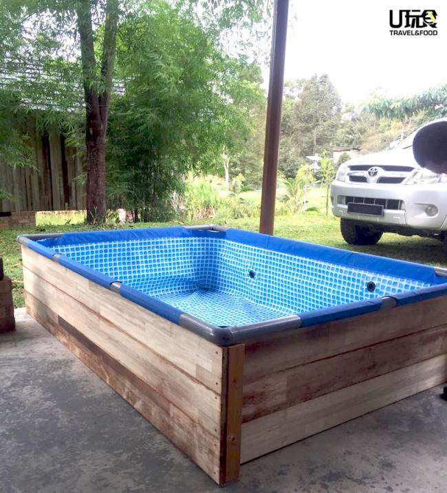 管理者也不时为归田园居增添设备，像是近期内搭建的小型水池供小孩们前来戏水玩耍。