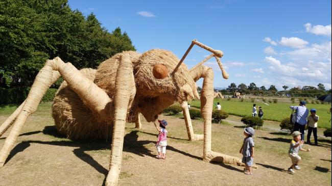2017年的展品之一——蚂蚁。