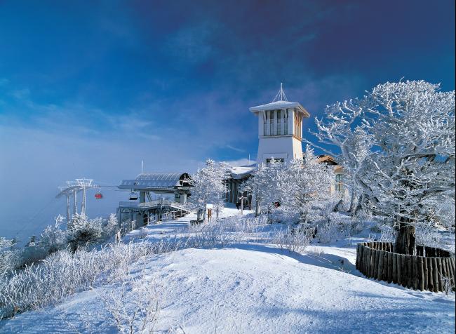 龙平滑雪度假村（Yongpyong Ski Resort）