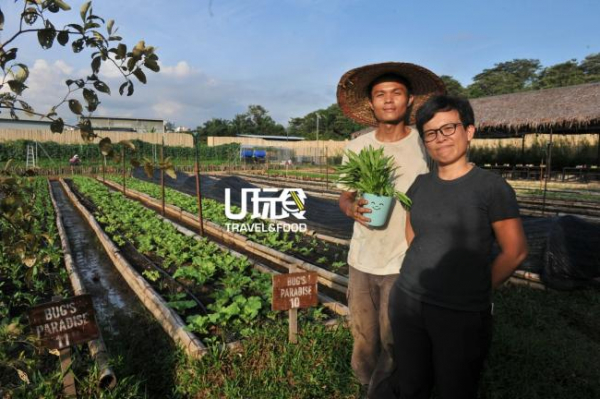 展晖（左）与家祺共同经营农场，最大的宗旨是让更多人享用新鲜的有机蔬菜，同时启发人们爱护大自然。