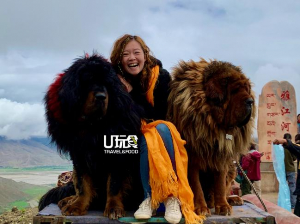 在西藏旅行时与当地特有的藏獒合影。