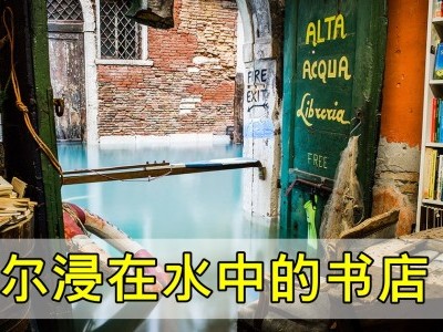 [意大利-威尼斯] 世上最美书店在水都