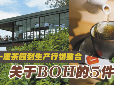 从第一座茶园到生产行销整合 关于BOH的5件事