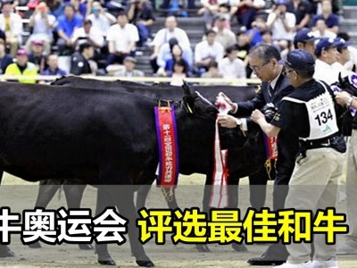 [日本] 和牛奥运会 评选最佳牛肉