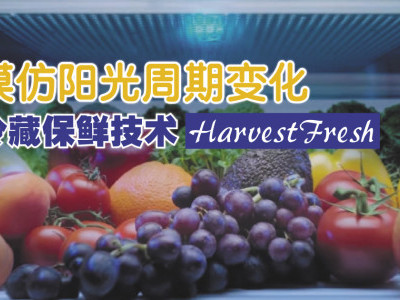 Beko Harvestfresh冰箱 模仿阳光周期延长食材保鲜期