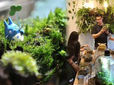 [吉隆坡] Mossarium Lifestyle Cafe 打造瓶中唯美花园