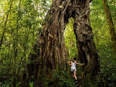 Airbnb推荐巴厘北泰尼泊尔探险旅行
