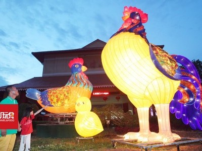 [雪兰莪] 东禅寺闻「鸡」起舞