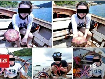 [泰国] 抓海星拍照 游客罚款