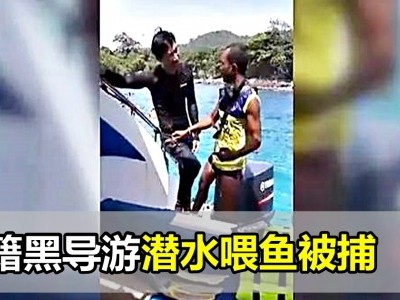 [泰国] 韩籍黑导游带游客喂鱼被捕