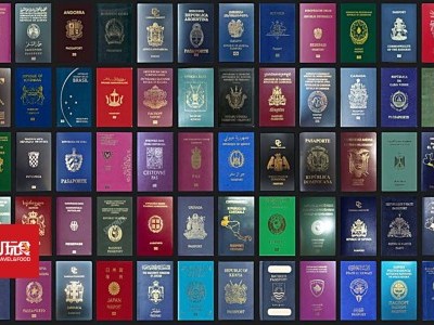 全世界护照颜色只有这4种？！