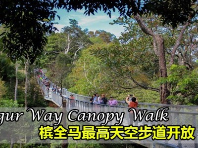 [槟城] 全马最高「Langur Way」悬带桥天空步道开放