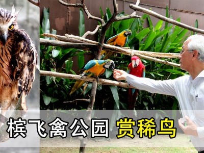 [槟城] 游槟飞禽公园 赏濒临绝种鸟类