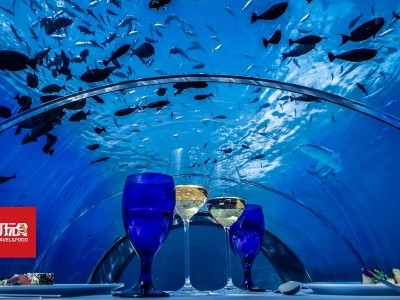 [马尔代夫] 世界最大全玻璃海底餐厅